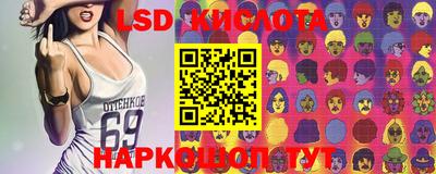 сатива Краснодар