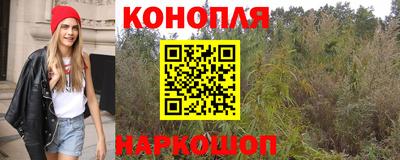 сатива Краснодар