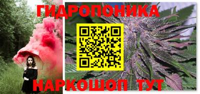 сатива Краснодар