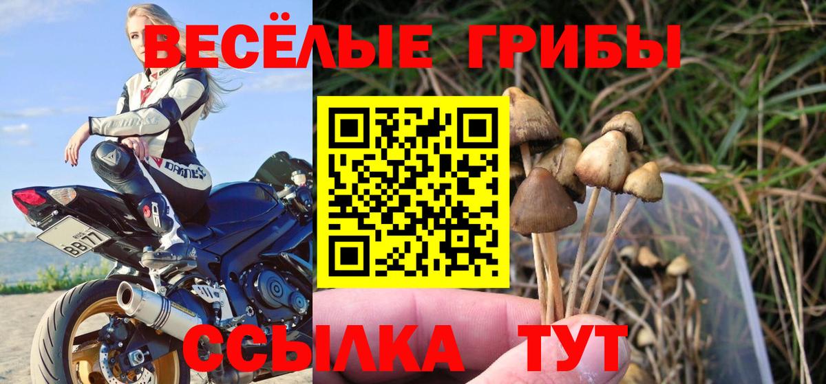 Галлюциногенные грибы ЛСД  Вход с VPN  Кизилюрт 